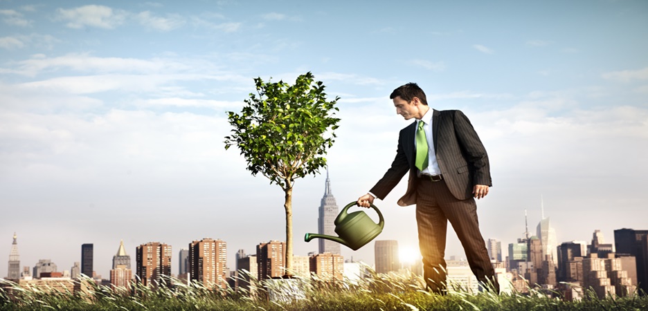 5 dicas essenciais para novos empreendedores